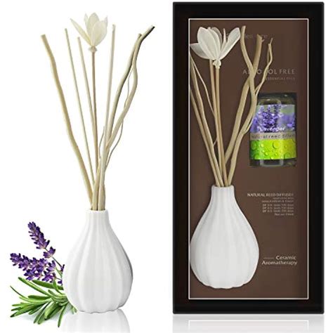 Dried Flower Reed Diffuser Set, Natural Sticks, Elegant Ceramic Bottle ...