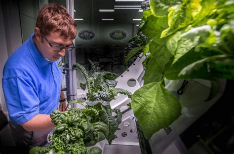 Farming In Space: The Future Of Indoor Farming Is Unfolding Aboard The International Space ...