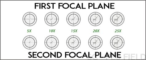 Rifle Scopes 101: How To Choose A Rifle Scope Guide - Scopes Field