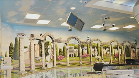 Artist creates stunning murals on hospital walls