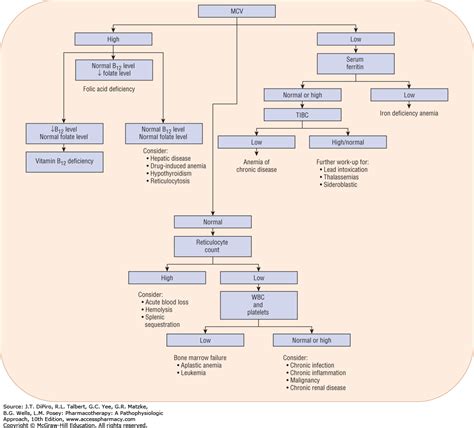 Anemia Workup Chart