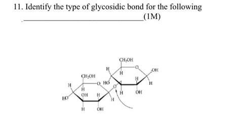 Solved 11. Identify the type of glycosidic bond for the | Chegg.com