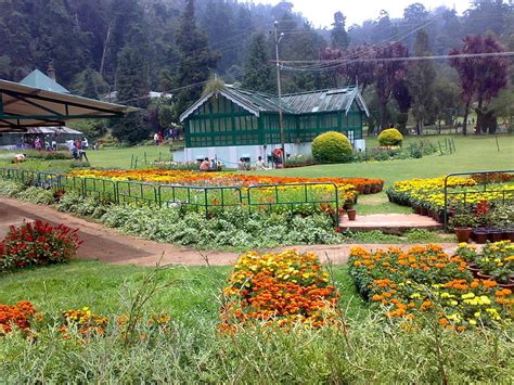 1920x1080px, 1080P free download | Ooty Botanical Garden, Tamil Nadu ...