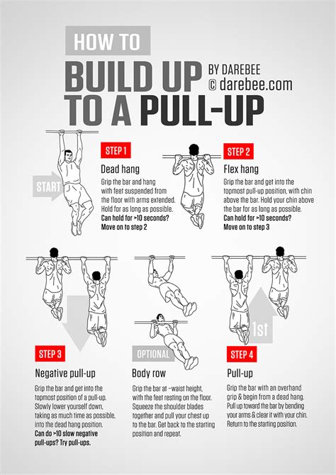 Perfect Pullup Workout Chart Pdf Blog Dandk Pull Up Challenge, Workout ...