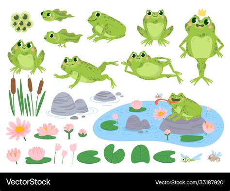 Cartoon frogs green cute frog egg masses Vector Image