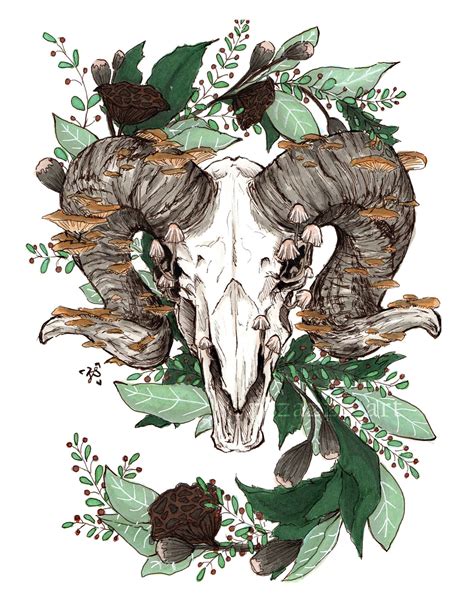 Ram Skull Art Print - Etsy