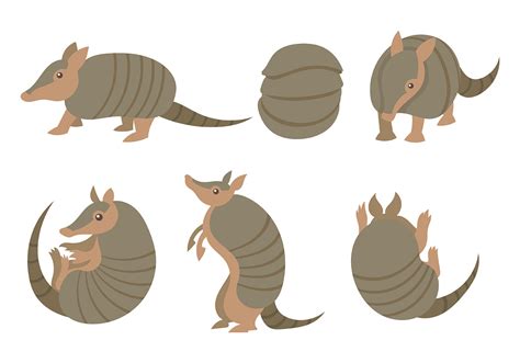 Armadillo Vector Icons 157444 Vector Art at Vecteezy