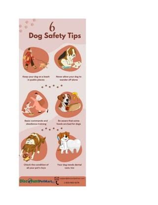 6 Dog Safety Tips You Should Know | PDF