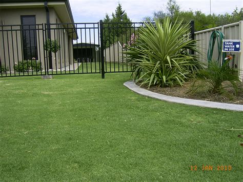 Wintergreen Couch | Instant Lawn Melbourne, Bendigo, Mildura, Horsham ...