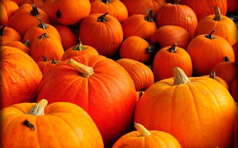 Autumn Pumpkins Desktop Wallpaper - WallpaperSafari