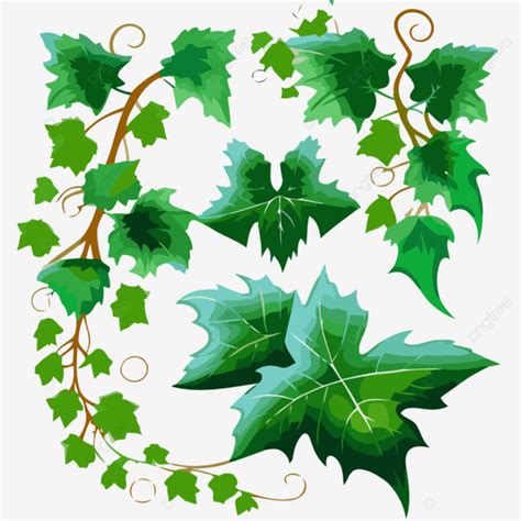 Ivy Leaves Vector, Sticker Clipart Set Of Green Leaf Leaves And Vines ...