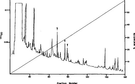 Figure 1 from A Model for the Aminoacyl-tRNA Binding Site of Eukaryotic Elongation Factor lo ...