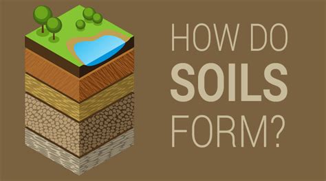 5 Soil Formation Factors: How Rocks Weather into Dirt - Earth How