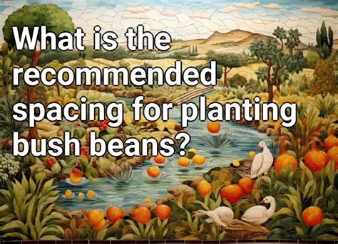 What is the recommended spacing for planting bush beans? – Agriculture ...