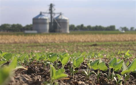 Farm income falls in northern Plains, yet finances stable - Agweek | #1 source for agriculture ...