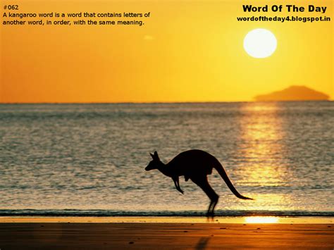 Word Of The Day: Kangaroo Words