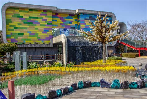 Gardens in Jeju Island, South Korea - True Wind Healing Travel