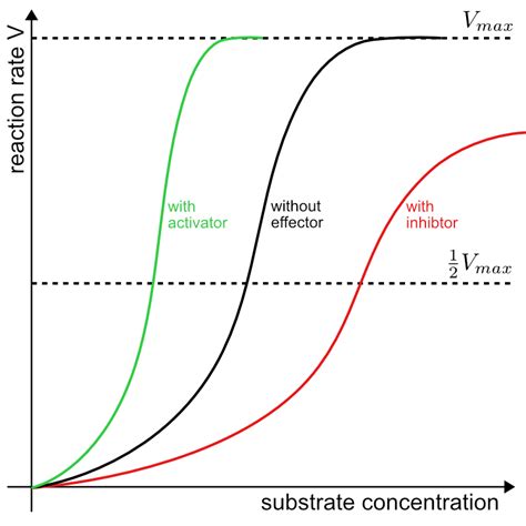 enzymes - Kinetics of allosteric regulation - Biology Stack Exchange