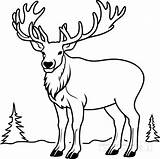 Animal Outline Clipart elk Shows Off Powerful Antlers Black sketch template
