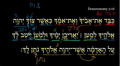 Deuteronomy 5:16 | Daily Dose of Hebrew