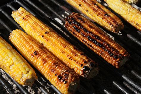 BBQ Corn Royalty-Free Stock Photo