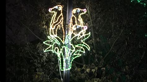 Toledo Zoo Lights Before Christmas Guide 2022 | wtol.com