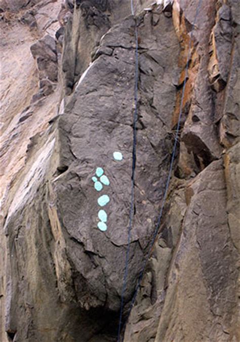 SitNews: Finding fossils in Alaska By THERESA BAKKER