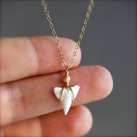 shark tooth gold chain necklace … | Shark teeth jewelry, Jewelry, Shark ...