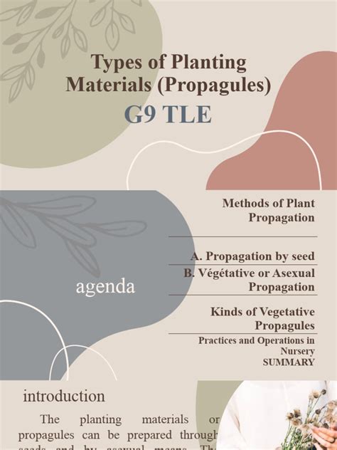 Types of Planting Materials | PDF | Seed | Plant Nursery