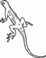 Printable Lizard Coloring Page For Kids – SupplyMe sketch template