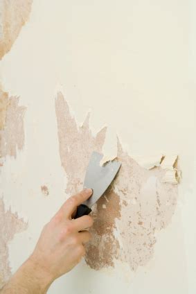 Removing Wallpaper Borders | lamapacos.com