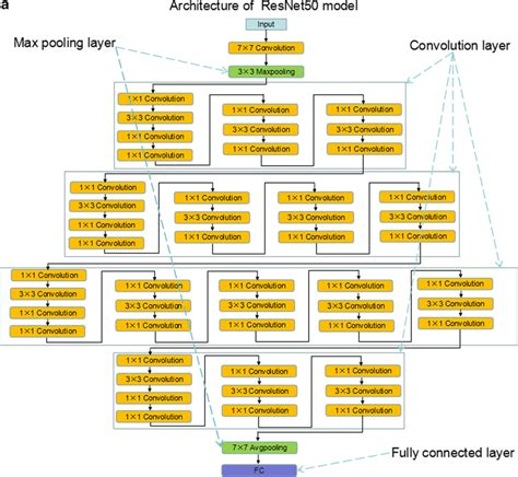 [Solved] Flowchart pre-processing using CNN ResNET-50 | Course Hero