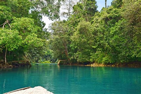 Temajuk in West Kalimantan boasts unplug destination with breathtaking ...