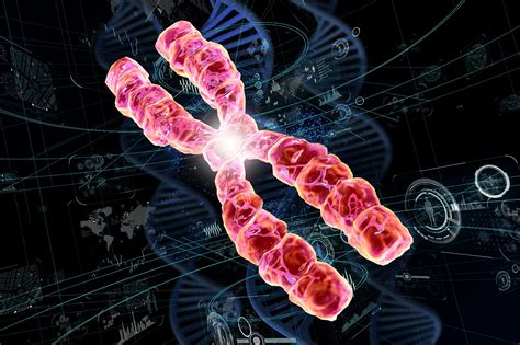 Can We Live Longer? Physicist’s Breakthrough Discovery in Genetic ...