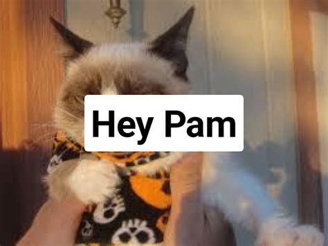 Grumpy Cat Halloween Meme Generator - Piñata Farms - The best meme generator and meme maker for ...
