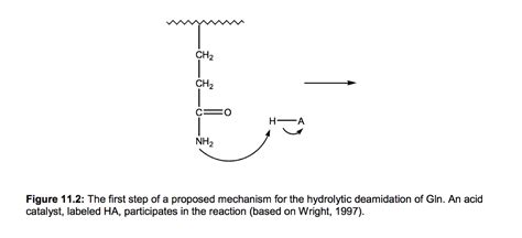 Solved 4. The mechanism of deamidation of the amide side | Chegg.com