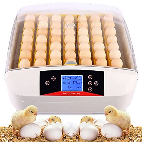 16 Best Chicken Egg Incubator 2022 - Reviews and Buying Guide - East ...