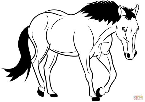 Dibujo de Caballo para colorear | Dibujos para colorear imprimir gratis