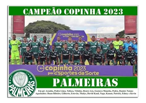 Poster Do Palmeiras - Campeão Copinha 2023 | Parcelamento sem juros