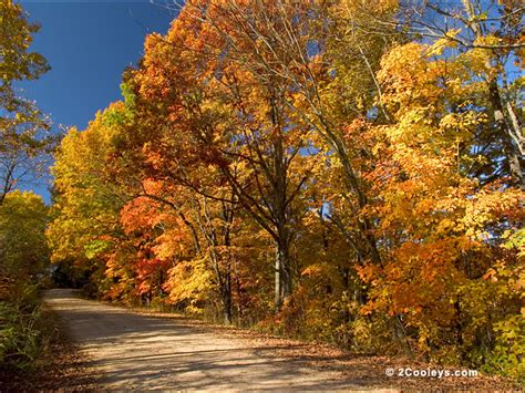 47 Ozarks fall foliage photos - 2Cooleys roadside foliage pics