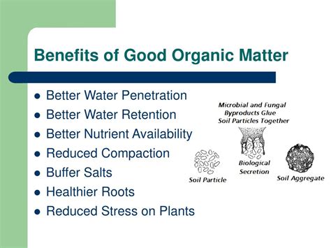 PPT - “Making Your Soil Pure Again.” PowerPoint Presentation - ID:519130