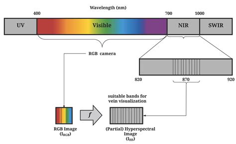 Hyperspectral Reconstruction from RGB Images for Vein Visualization