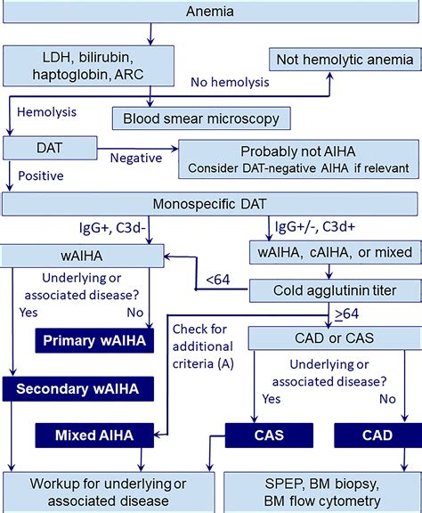 Diagnosis And Treatment Of Autoimmune Hemolytic Anemia In, 45% OFF