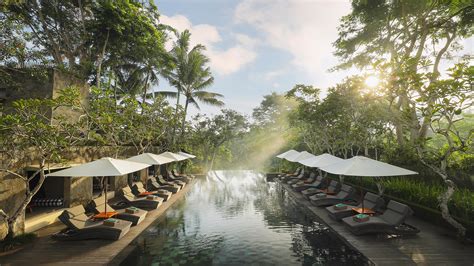 Infinity Forest Pool | Maya Ubud Resort & Spa