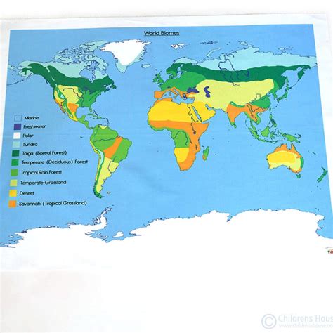 Biomes Map For Kids