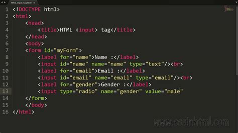 HTML input Tag - YouTube