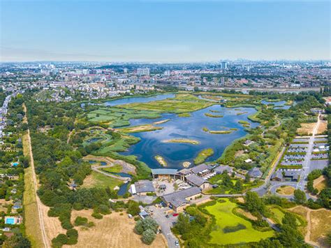 London Wetland Centre | Attractions in Barnes, London