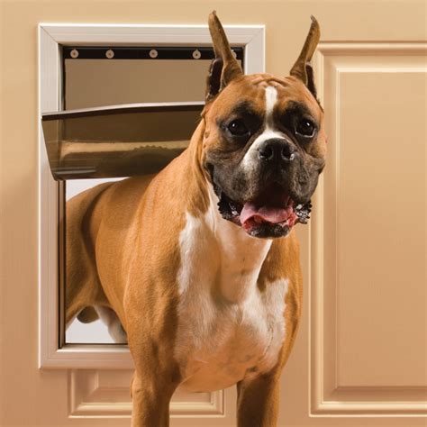 25+ Stylish Dog Door Ideas For The Discerning Pet Owner - Hey, Djangles.