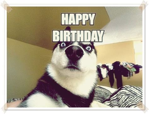 Happy Birthday Meme For Friends With Funny Poems | HubPages