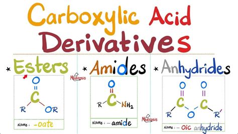 Esters, Amides & Anhydrides | Carboxylic Acid Derivatives | Organic ...